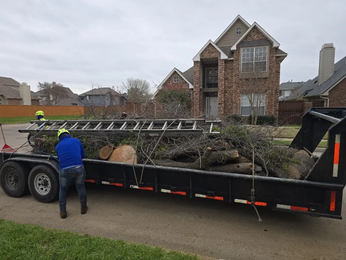 Expert Tree Pest Control with proper safety equipment in Norman